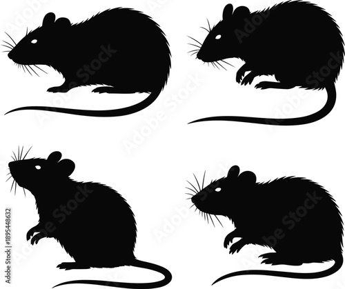 Rat silhouette set, mouse animal poses collection, side view rodent shapes, black vector illustration isolated white background