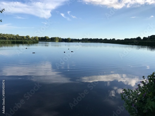 Photography Hermoso parque en Copenhagen Dinamarca