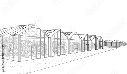 Row of modern greenhouses with gable roofs and glass panels