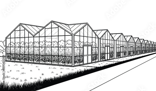 Row of modern greenhouses with glass panels and metal frames