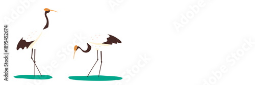 A pair of elegant Japanese red-crowned cranes in a minimalist, graphic illustration style.
