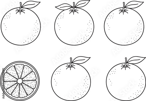 Fresh Orange Fruit Icon Set with Whole Citrus and Sliced Cross Section in Detailed Line Art Style for Juice Branding, Healthy Food Menus, and Organic Grocery Labels