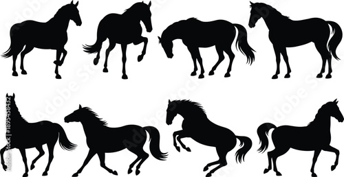 Horse silhouette set, equine poses, black vector animals, dynamic horse graphics, walking, trotting, rearing, standing, nature icons, motion study