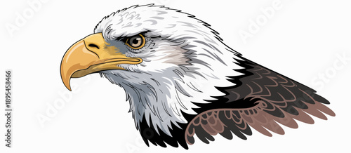Bald eagle illustration featuring detailed white and brown feathers, perched pose, majestic bird of prey vector artwork perfect for wildlife, nature, conservation, educational, and patriotic designs