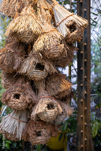 Handmade rustic bird nests made of natural straw and fiber hanging in a cluster. Traditional eco friendly birdhouses for garden decoration and wildlife conservation