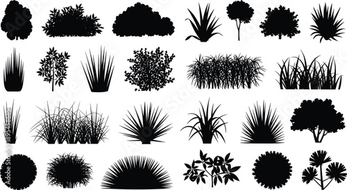 Garden Plants and Bushes Silhouette Collection Trees Shrubs Grass Black Nature Landscape Elements Vector Set Isolated on White Background