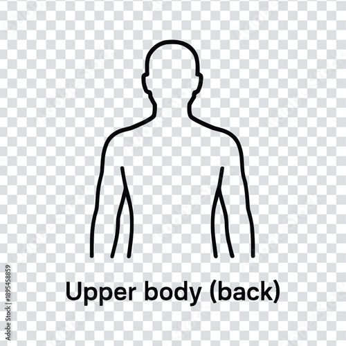 Vector illustration a simple line drawing of a human upper body from the back view in black lines on a transparent background