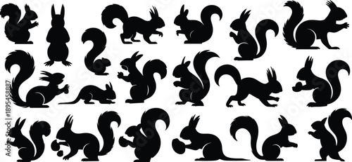 Black squirrel silhouette collection, vector squirrel poses, bushy tail animal shapes, wildlife icon set, squirrel clipart, nature design elements