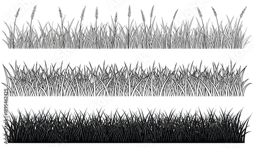 Three different types of grass textures in black and white for design and decoration purposes easily