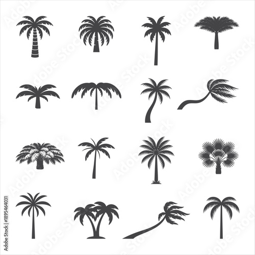 Collection of various palm tree shapes and sizes presented as black silhouettes, high-quality, professional, and detailed