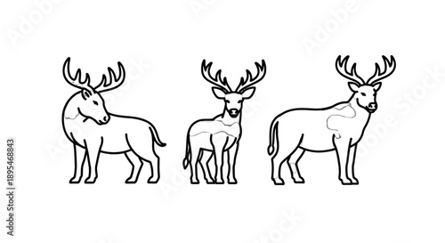 Simple line drawings of three deer with antlers.