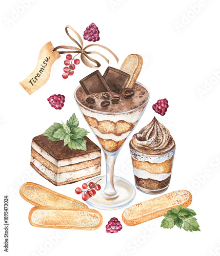Watercolor illustration of tiramisu desserts assortment decorated with berries, mint, and ladyfingers