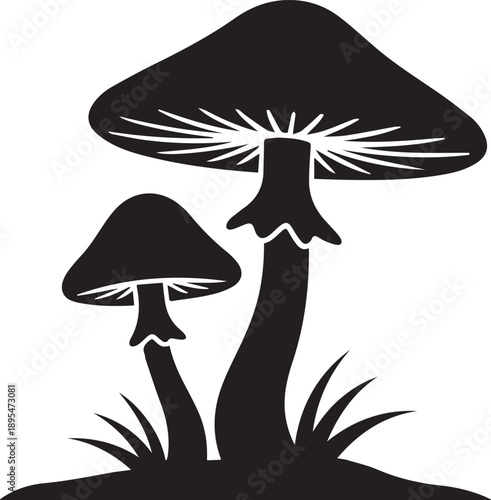 Tall mushrooms with large caps and long stems growing amidst grassy terrain viewed from the side with a plain background