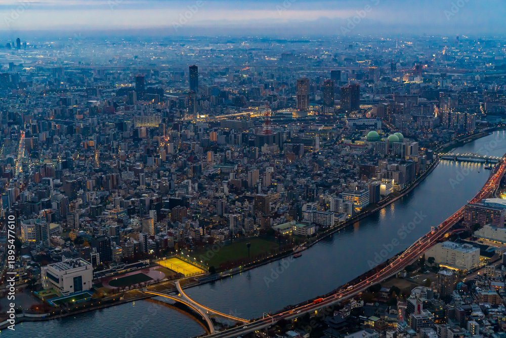 Obraz premium View from Sky Tree in Tokyo, Japan