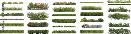 Stylized collection of bushes, shrubs, and ornamental grasses arranged in rows for landscape design, gardening, and architectural visualization
