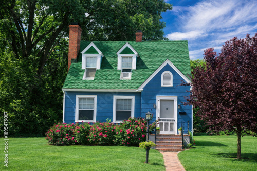 Residential blue house with a brick walkway, green roof and front garden against a blue sky