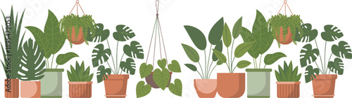 Tropical indoor plant illustration set with potted and hanging houseplants, monstera and lush green foliage in modern flat botanical vector style