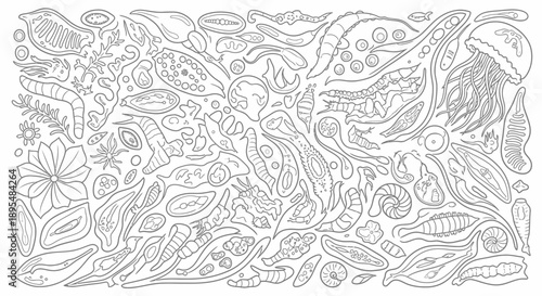 Intricate monochrome botanical line art featuring leaves, petals, vines, and decorative floral motifs for decorative patterns.