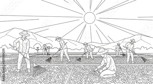 Sunlit scene of diverse people working together in a field for a rural harvest.