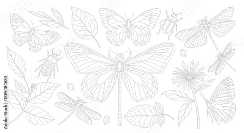 Symmetrical arrangement of various butterflies forming a decorative nature frame.