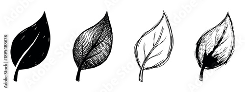 Set of four hand-drawn black ink leaves showing different artistic illustration styles like silhouette, crosshatching, outline sketch, and a grunge texture for botanical design