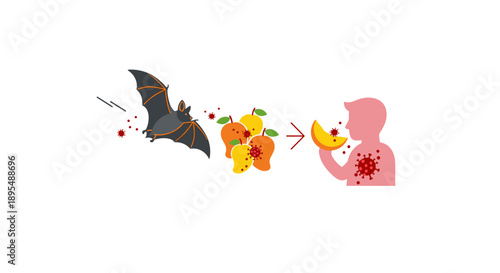 The concept of Zoonotic Disease Transmission from Bat to Human via Fruit, a flat illustration for Public Health Education, Science Websites, and Disease Awareness