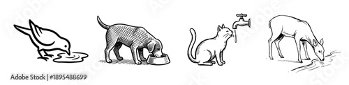 Four black and white hand-drawn illustrations of animals drinking water from various sources, showing a bird, dog, cat, and deer in a simple minimalist sketch style