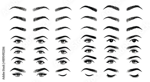 Detailed chart showcasing numerous variations of human eyebrows and eyes, demonstrating different shapes, arches, and grooming styles.