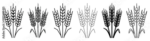 Set of six black wheat ear icons in various graphic styles including line art, sketch, and dotted patterns, representing agriculture, harvest, and natural food concepts