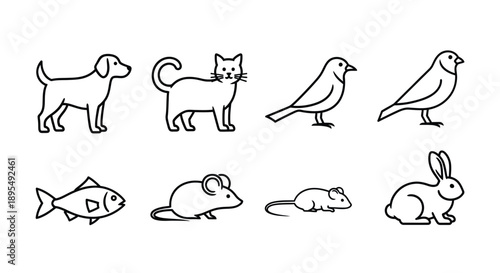 Various simple outline icons of domestic animals and pets are displayed in two rows on a white background.