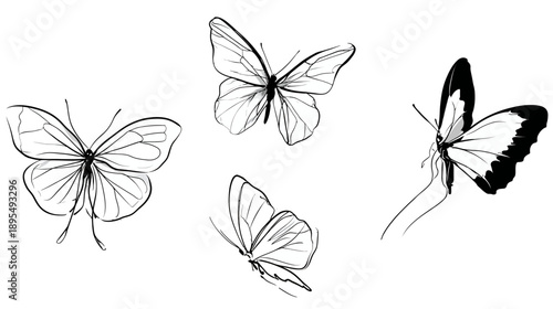 Collection of elegant butterfly line art illustrations. Hand-drawn sketches of flying insects for nature and spring designs.