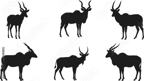 Antelope silhouette set, horn shape comparison, wild animal vector, black white graphic, species anatomy icons, posture variation illustration