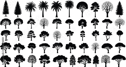Tree silhouette collection with various foliage, branching styles, trunks, and canopy shapes — perfect for nature design, flat vector illustration