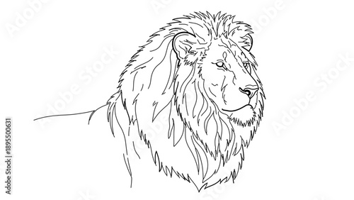 A minimalist line art illustration of a lion's head in profile