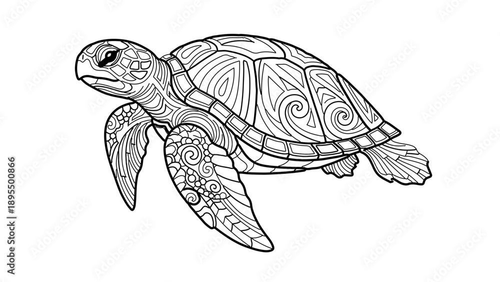 Fototapeta premium A black and white vector illustration of a turtle with intricate designs on its shell and body