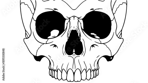 A minimalist black and white skull illustration with a clean design