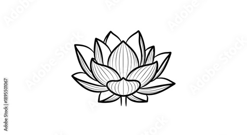 Elegant HandDrawn Lotus Flower Illustration.