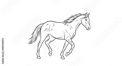 Elegant Horse Illustration in Motion Sketch Style.
