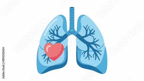 Educational illustration showing human lungs with heart and airway anatomy in a respiratory system diagram.