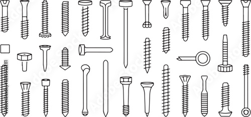 screw and bolt vector illustration of common fastener types