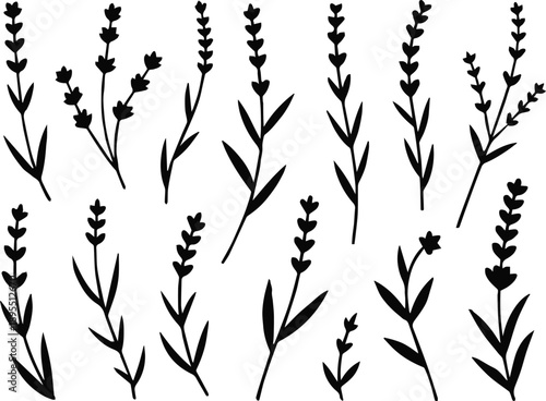 lavender silhouette vector set botanical stems grid layout