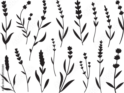 lavender botanical silhouette icons herb flower stem designs