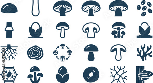 A collection of various mushroom and fungus illustrations in a simple flat design style, showcasing different species from various viewpoints.