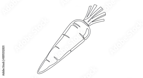 Single carrot line drawing isolated on white background, healthy vegetable outline illustration