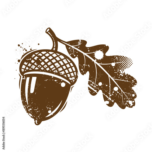 Vintage Grunge texture illustration of an acorn with a leaf on white background
