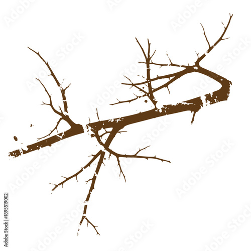 Vintage Grunge texture A brown tree branch with many small twigs and thorns on white background  closeup