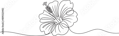 Continuous one line drawing of hibiscus flower. Rose mallow single outline vector design. one line Art icon drawing vector