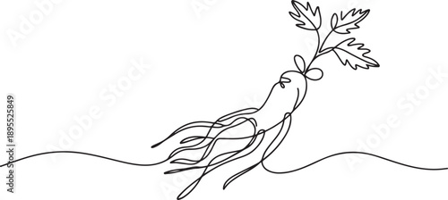 Continuous one line drawing of ginseng root. Ginseng plant single outline vector design. one line Art icon drawing vector