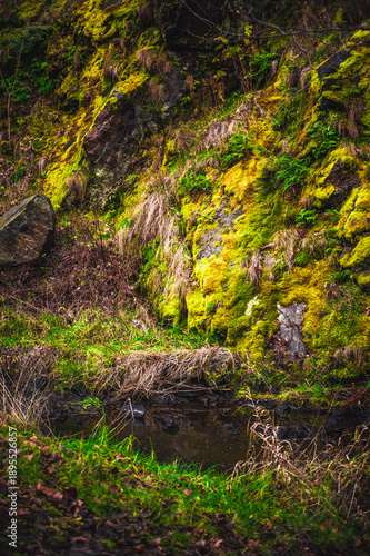 Rocky hillside covered with vibrant green moss and dry grass