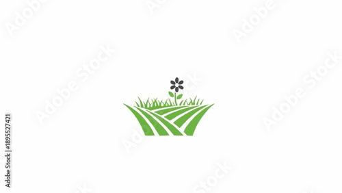 Green grass with a small flower.